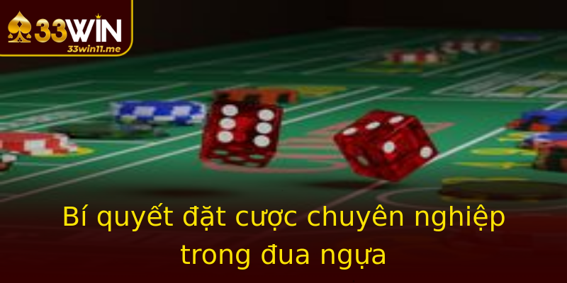 Bí quyết đặt cược chuyên nghiệp trong đua ngựa