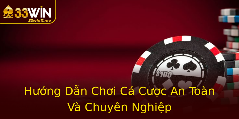 Hướng Dẫn Chơi Cá Cược An Toàn Và Chuyên Nghiệp