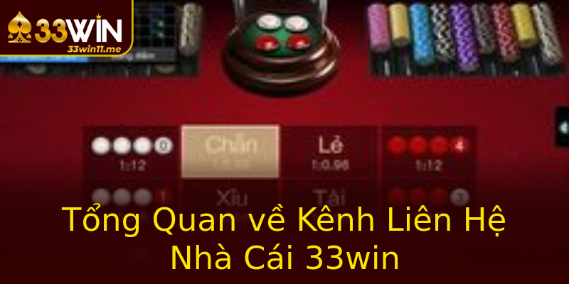 Tổng Quan về Kênh Liên Hệ Nhà Cái 33win